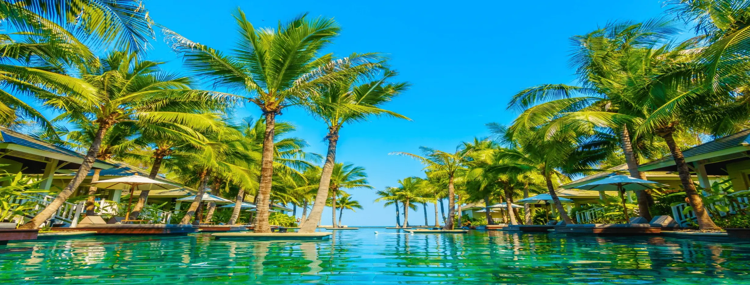 Image for Exotic Oasis